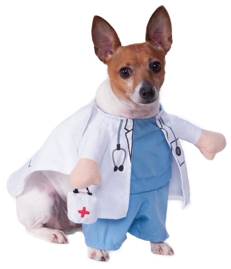 Rubies Walking Vet Pet Costume for Dogs or Cats, Small - Image 1